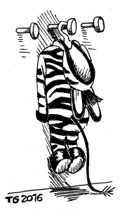 Peau de Zebre accrochée sur un porte manteau